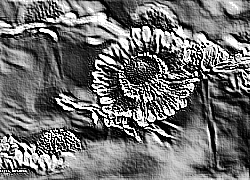 Skamielina