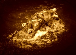 Sepia