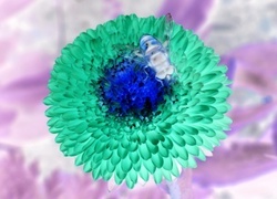 Negatyw