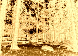 Sepia + Negatyw