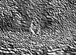 Skamielina