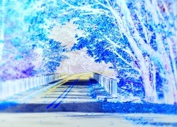 Negatyw