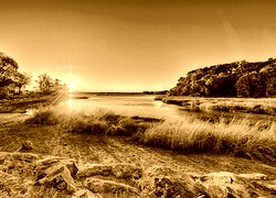 Sepia