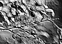 Skamielina