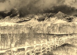 Sepia + Negatyw