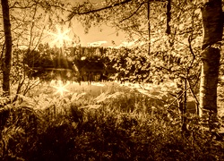 Sepia