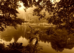 Sepia