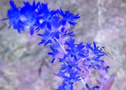 Negatyw