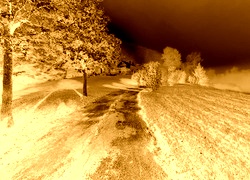 Sepia + Negatyw