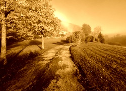 Sepia