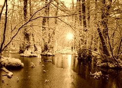 Sepia