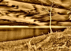 Sepia + Negatyw
