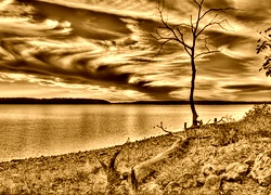 Sepia