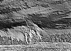 Skamielina