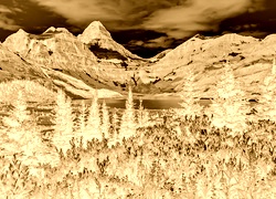 Sepia + Negatyw