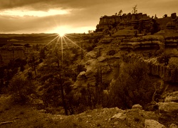 Sepia