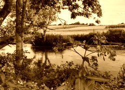 Sepia