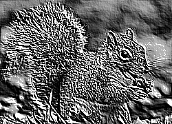 Skamielina