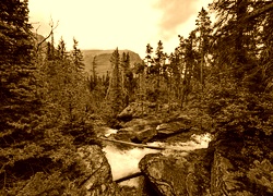 Sepia