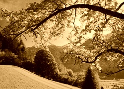 Sepia