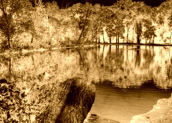 Sepia + Negatyw