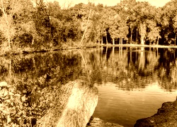 Sepia