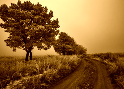 Sepia