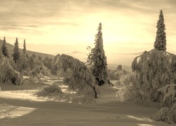Sepia