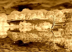 Sepia + Negatyw