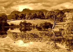 Sepia