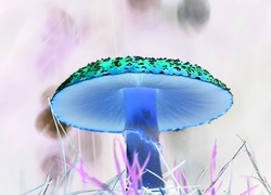Negatyw