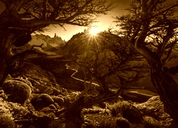 Sepia
