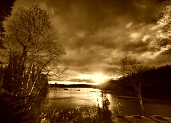 Sepia