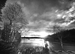 Szary + Sepia