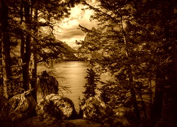 Sepia