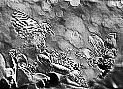 Skamielina