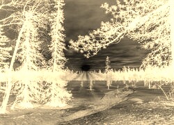 Sepia + Negatyw