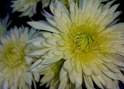 Oryginalny obrazek