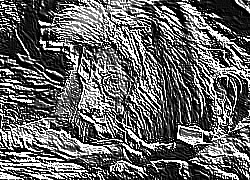 Skamielina