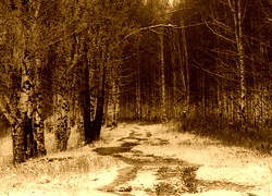 Sepia