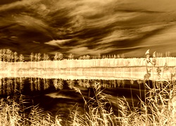 Sepia + Negatyw