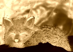 Sepia + Negatyw