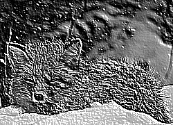 Skamielina