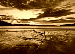 Sepia