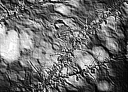 Skamielina