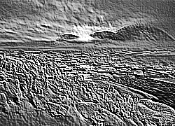 Skamielina