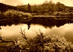 Sepia