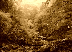 Sepia