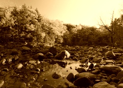 Sepia