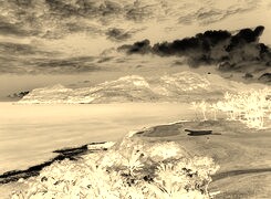 Sepia + Negatyw